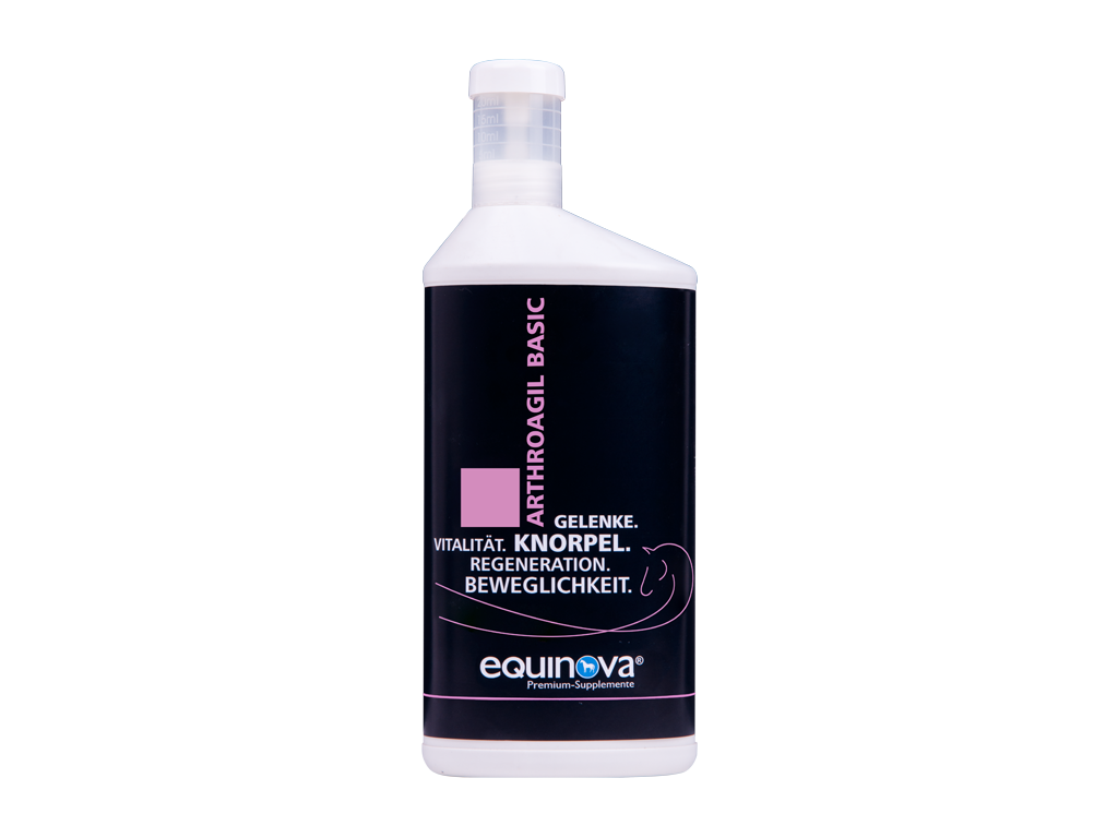 Equinova