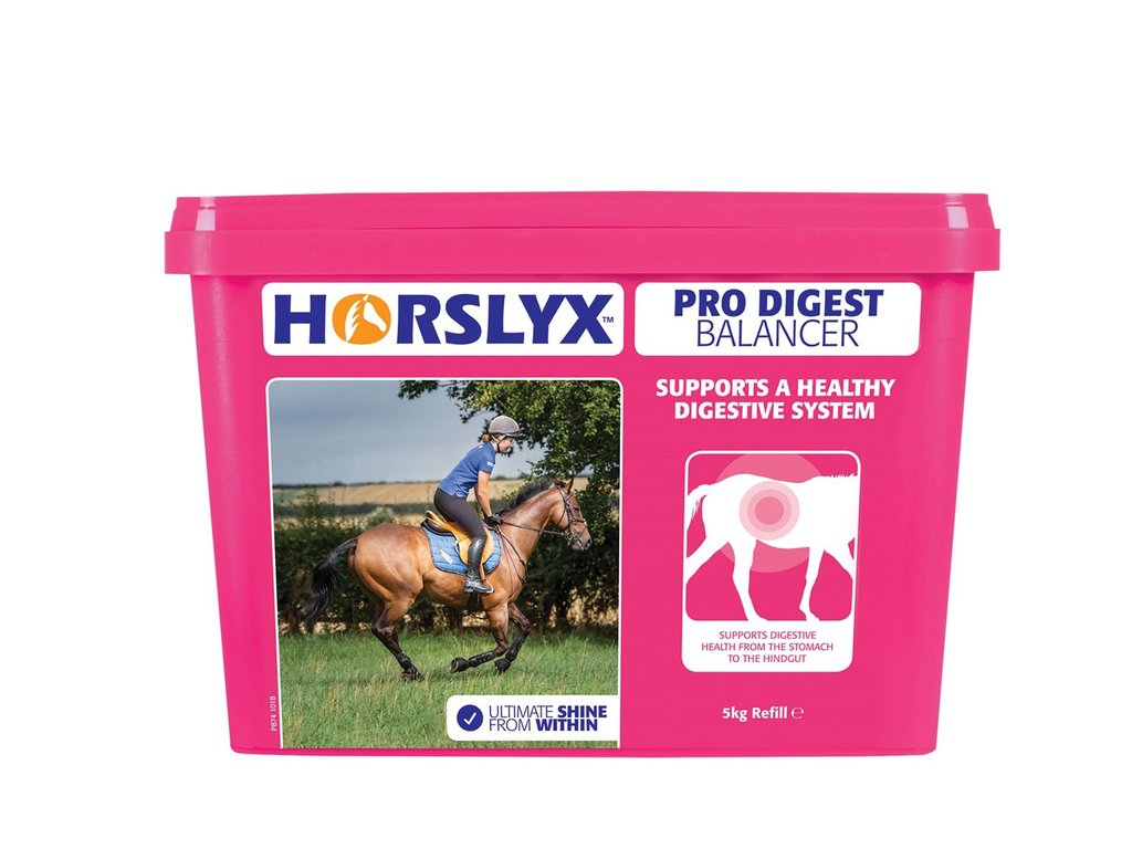 HORSLYX 