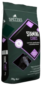 Stamina+ Cubes 20kg