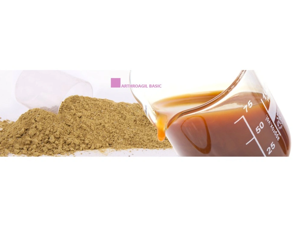 Arthroagil Basic 1 l